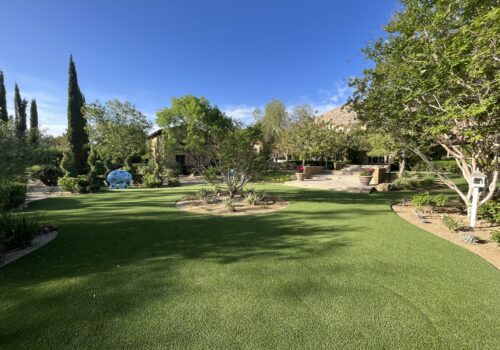 A large yard with trees and bushes in the background.